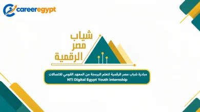 مبادرة شباب مصر الرقمية لتعلم البرمجة من المعهد القومي للاتصالات - NTI Digital Egypt Youth Internship